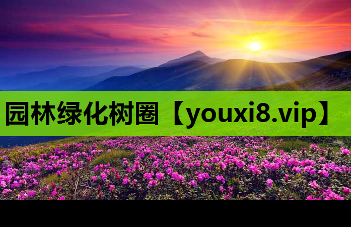 园林绿化树圈