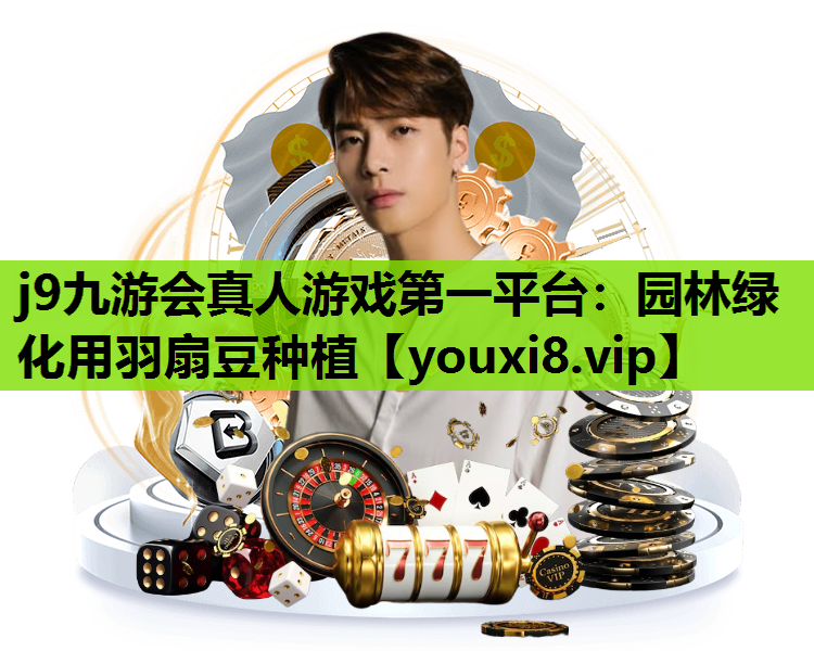 j9九游会真人游戏第一平台：园林绿化用羽扇豆种植